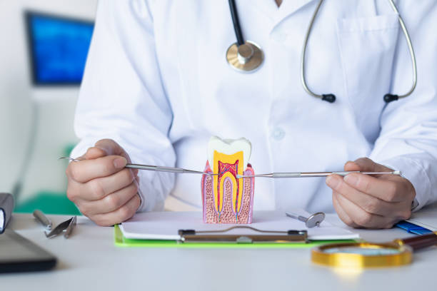 Best Emergency Dental Care for Broken or Chipped Teeth in North Royalton, OH